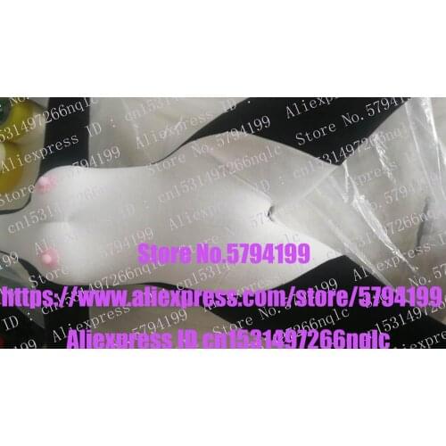 Husky Dog Fox Wolf Fursuit Costume Adult Cartoon Character Outfit Suit Corporate Image Film Theatrical for sex