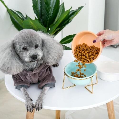 Cat Bowl Ceramic Container For Puppy Cat Dog Food Feeding Feeder Drinker With Raised Stand Adjustable Pet Supplies Product #P008