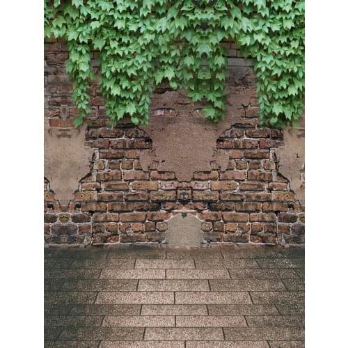 Life Magic Box studio photo background Parthenocissus Wallpaper of Photography baby shower backdrop S-1837