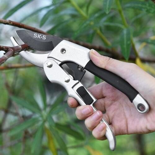 Shears Pruner Secateurs Pruning Scissors Sharpen Clippers Garden Tool Bonsai Flower Cultivating Flowers Fruit Trees Cutters