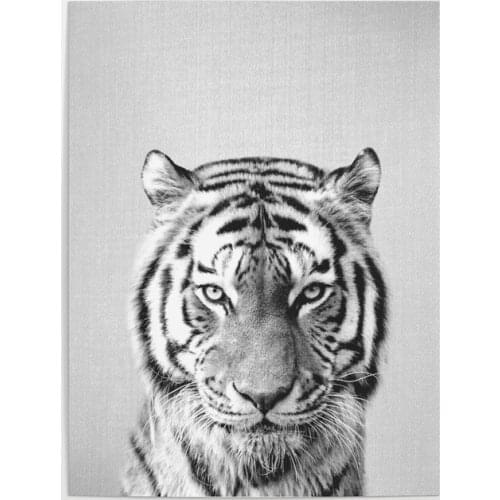 A Cool Tiger Animal Gifts Cute Wall Art Canvas Paintings Home Decor Picture Hd Prints Modern Poster For Bedroom Modular Framed