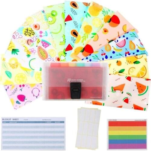 Budget Planner Organizer Binder Cash Envelope System for Budgeting Envelopes for Bill Planner