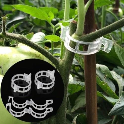 Plastic Plant Support Clips 50/100Pcs Vine Tomato Stem Vegetable Fixing Clip Home Garden Greenhouse Accessories Plant Clips