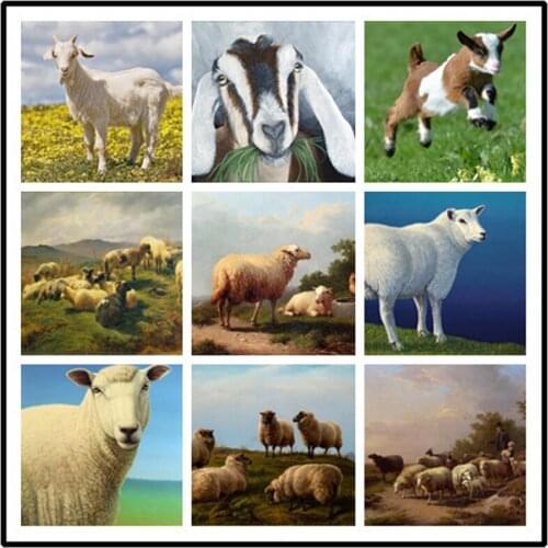 Diy 5D Diamond Painting Diamond Embroidery Cross Stitch Full Drill Square round Animal Wedding Decoration StickerZP-2929