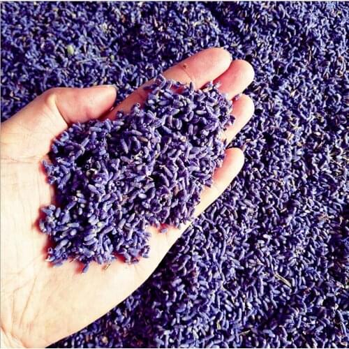 New Real A~5A Natural lasting Lavender Purple lavender Dried Flower particles Bag Pillow lavender sachets for Tea car