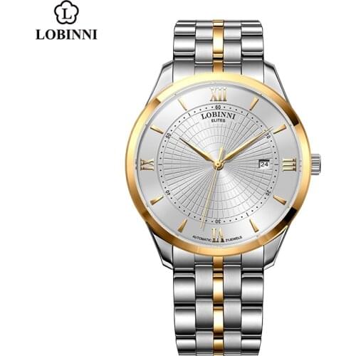 Mens Watch Wristwatch Mechanics Automatic Watches Man Waterproof Stainless Steel Strap reloj automático Business Mens Clock