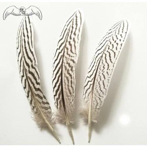 Wholesale 50pcs 16-23cm Natural Pheasant Feather Silver Phesant Feathers For Millinery DIY Crafts Carnival Costume Decoration