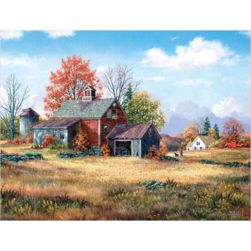 Counted Cross Stitch Kits Needlework Embroidery - Crafts 14 ct Aida DMC Color DIY Arts Handmade Home Decor - Afternoon Walk