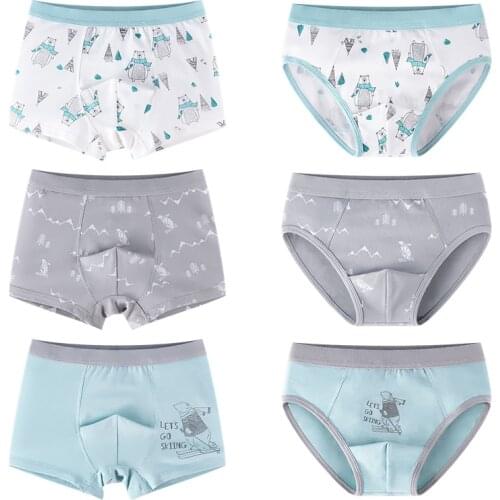 3Pcs/lot Kids Underwear for Boys Baby Cotton Panties Cartoon Print Underpants 6 8 10 12 14 Years Teen Briefs Big Boys Clothing