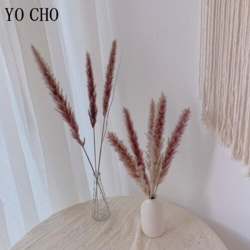 30Pcs Pampas Grass Natural Dried Small Phragmites Home Christmas Decoration Diy Dried Flower Bouquet Flower Arrangement