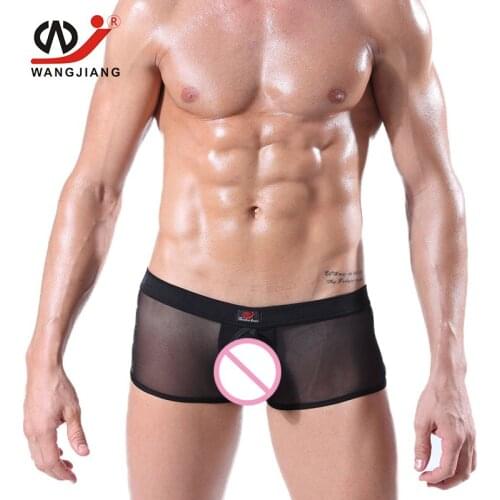 Transparent Mens Sexy Underwear Sexy Gay Men Underwear Mens Underwear Cuecas Boxers Lace Underwear For Erotic Homens 1003PJ