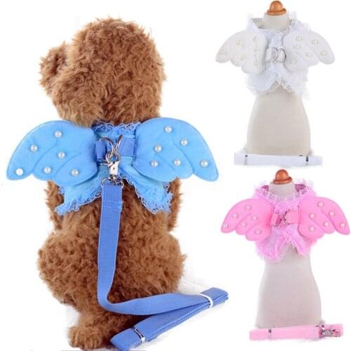 Cat Harness Angel Wings With Lead Leash