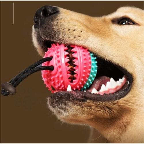 Non-toxic Pet Dog Molar Bite Ball Food Slowly Feeder Toy Pet Tug Rope Chewing Toys Pet Dog Tooth Cleaning Toys With Suction Cup