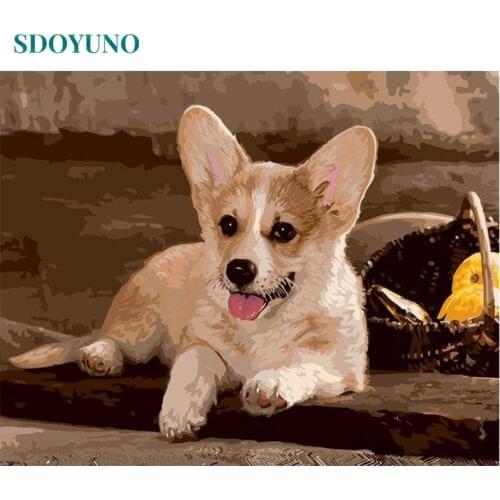 SDOYUNO 60x75cm Oil Painting By Numbers Dogs DIY Paint By Numbers On Canvas Animals Frameless Corgi Home Decor Hand Painting