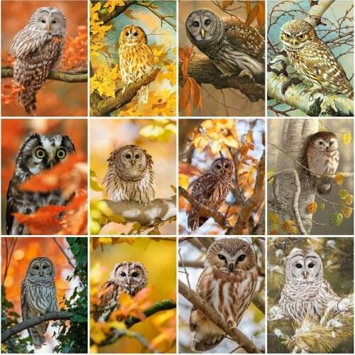 Huacan 5D Diamond Painting New Arrivals Owl Autumn Diamond Mosaic Embroidery Kit Animals Needlework Craft Home Decoration