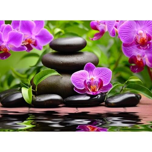 JMINE Div 5D Orchid Flower Stone SPA Full Diamond Painting cross stitch kits art High Quality Scenic 3D paint by diamonds