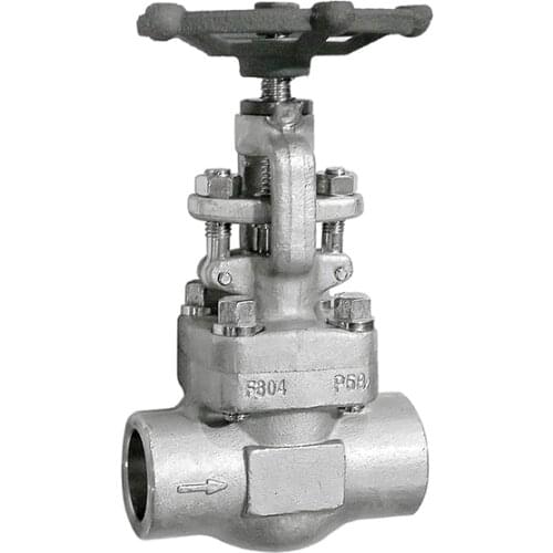 Forged steel stainless socket welded globe valve tapered plunger disc throttle needle type inflatable/ jis snow globe valve
