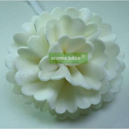 1000 pcs /lot Handmade sola wood flowers for fragrance diffuser and home decor with 12cm Rope or rattan reed sticks Top quality