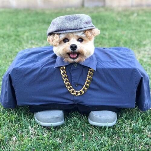 Pet Dog Gold Chain Plated Necklace Cat Collars Fashion Thick Plastic Photo Props Collar Puppy Dogs Accessories Supplies Training