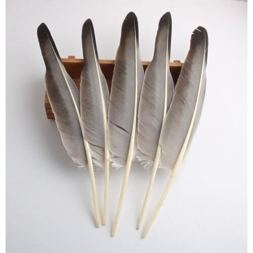 High Quality 100pcs/lot Turkey Feathers 30-35cm/12--14inches Diy Accessories Craft DIY Decoration Plumas De Faisan