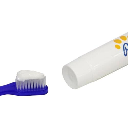 Pet Toothpaste Toothbrush Set Teeth Hygiene Oral Care Kit Cat Dog Puppy Cleaning Supplies Drop Shipping for Pet Dog Accessories