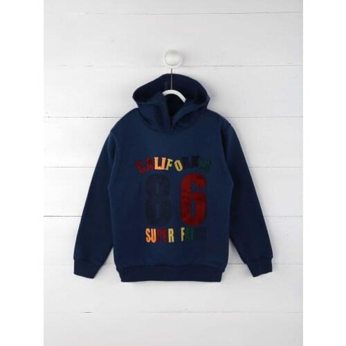 Indigo Seasonal Male Child Sweatshirt
