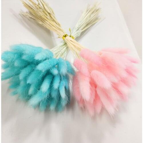 Dried Flowers Rabbit Tail Grass Pampas Grass Natural Plants Bouquet Wedding Home Easter Decoration Flores Secas