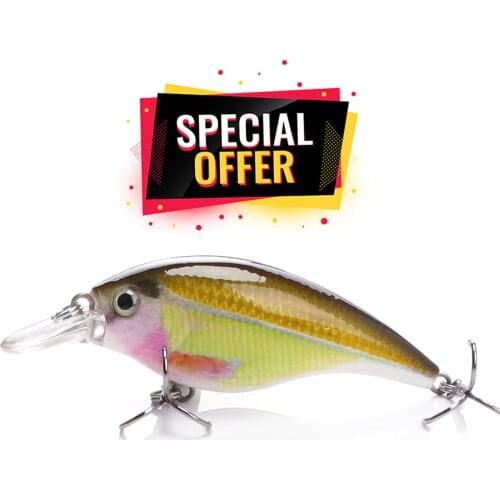 VTAVTA Special Offer 6cm 10g Crankbait Fishing Lure For Pike Floating Wobblers (Limited)