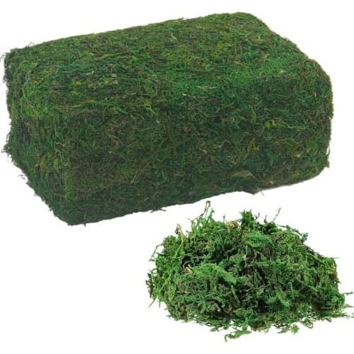 850g Artificial Fake Dried Green Moss Brick Preserved Faux Lichen Block for Flower Plants Garden Lawn Crafts DIY Decor