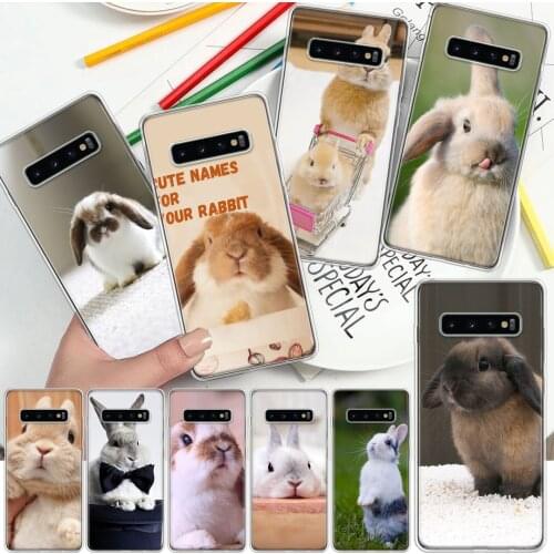 Cute Animal White Rabbit Lovely Soft Cover Phone Case For Samsung Galaxy S10 S21 S20 FE S9 S8 S7 Note 10 9 8 Plus Ultra Lite J4