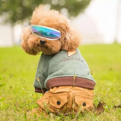 New Pet Glasses Dog Sunglasses Funny Photo Personality Creative Plastic Windproof Cat Sunglasses Pet Clothing Accessories