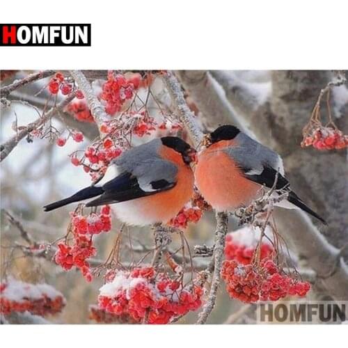 HOMFUN Full Square/Round Drill 5D DIY Diamond Painting "Bird snow scene" Embroidery Cross Stitch 3D Home Decor Gift A11940