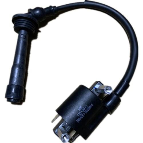 Coil assy ignition for Benelli of Benelli bj250 302GS BN251 TNT25 TNT250 BJ250-15 BN TNT 25 250 251 502C TNT300 TNT600 TNT250
