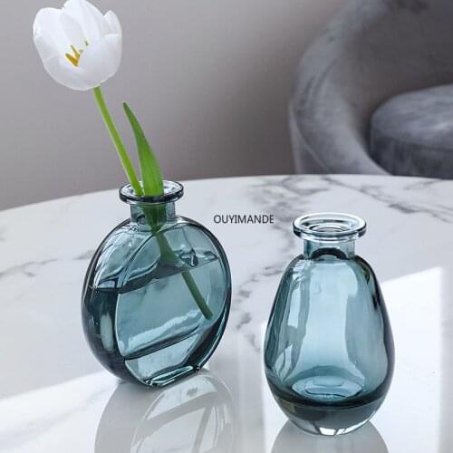 Transparent Glass Vase Home Small Hydroponic Plant Glass Bottle Living Room Decoration Dried Flower Home Decoration Flower Vases