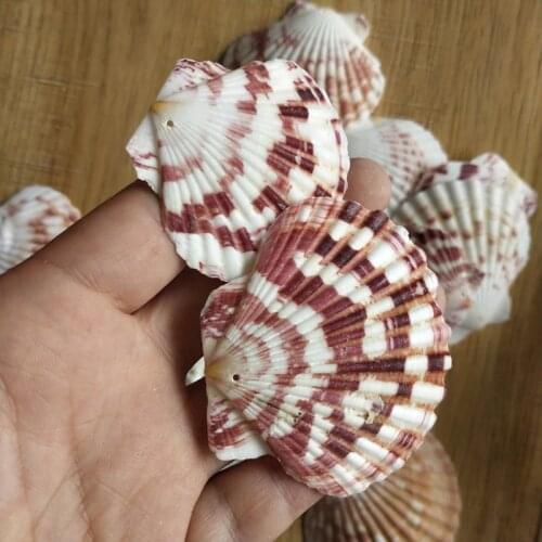 30pcs natural Decoration Beach Fashion hole Seashells Sea Shells for DIY Caft Decor Jewelery Craft Accessories holes Shell Charm