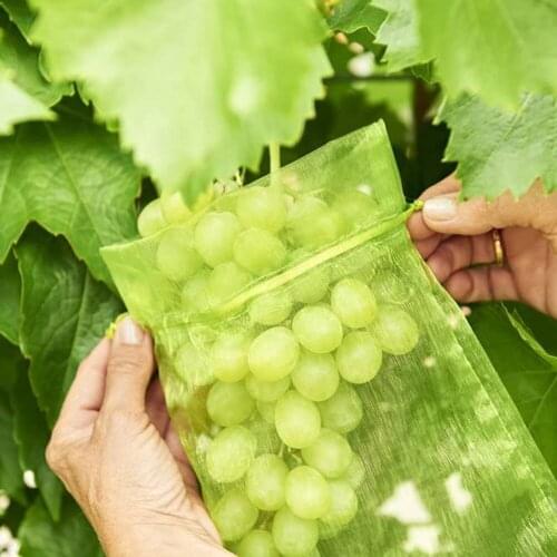 50/100pcs Garden Vegetable Fruit Grow Bag Plant Protection Bag Anti Bird Drawstring Netting Candy Makeup Mesh Pouch Pest Control