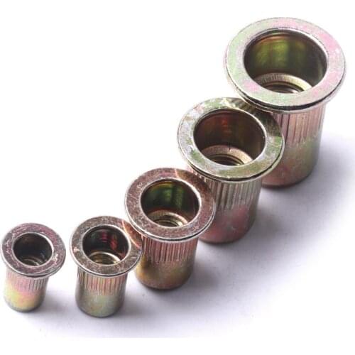100 Pcs M4/M5/M6/M8/M10x20 Zinc Plated Carbon Steel Rivet Nuts Threaded Rivet for Metal Plates Tubes Fastener Tool