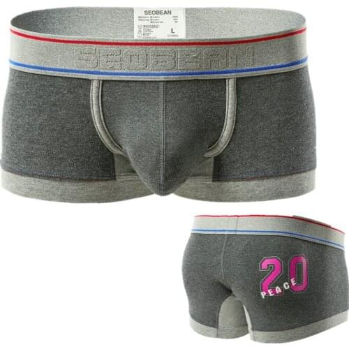 Men Boxers Cotton Mens Briefs Panties for Men Sexy Underpants Shorts Casual Trunks Pajama Shorts