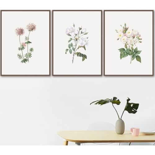 Vintage White Rose Poster Flower Plant Wall Art Canvas Painting Nordic Posters and Prints Wall Pictures for Living Room Decor