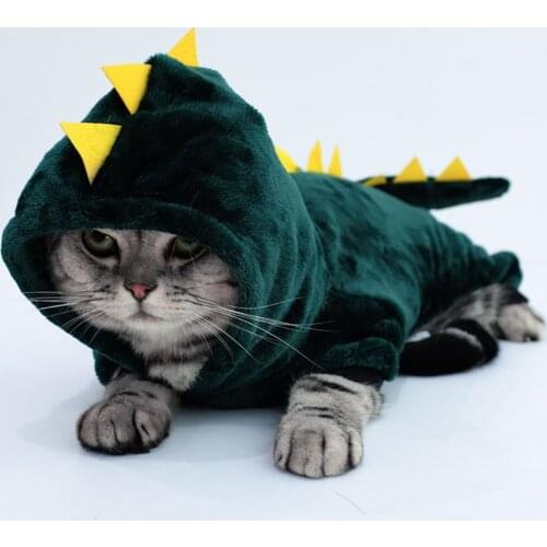 Pet Clothes Funny Dinosaur Cat Costume Winter Cat Clothing Pet Hoodies Sweater Coat for Small Puppy Dog Plush Outfit with Hood