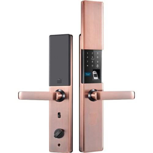 Smart Lock Fingerprint Lock Password Lock Electronic Door Lock Home Security Door Homestay Door Lock Card Access Lock ASD88