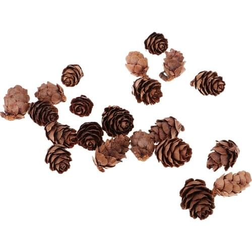 50Pcs Mini Small Natural Dried Pine Cones In Bulk Dried Flowers for Christmas Decoration or Craftin