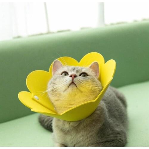 Pet Treatment Protection Collar Anti Bite Anti Grasping Anti Licking Cat Collar Pet Cat Sterilization Surgery Recovery Supplies