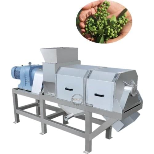 2.5T Cold Press Juice Ginger Juicer Extractor Machine Screw Press Pineapple Juice Making Machine