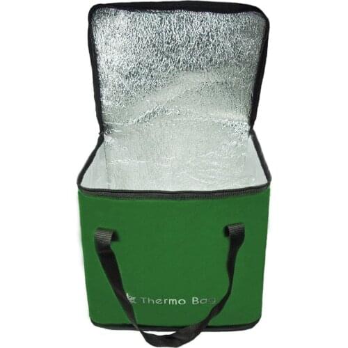 Eziva Home Camping, Picnic, Car, Beach Cold, Hot Holder Thermos Bag 30.5 Liter Green