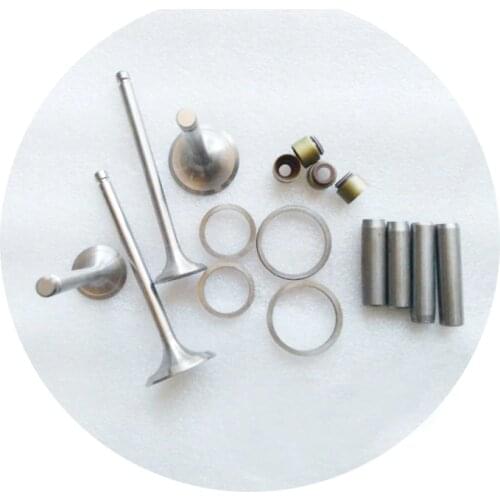 Set of valves repair kit for Hubei Shenniu tractor SN250 / SN254 with engine HB295T, part number