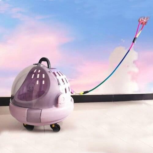 Enclosure Furniture Modern Cat Litter Box Training Fully Enclosed Cute Cat Litter Box Big Arenero Gato Pet Products BD50CB