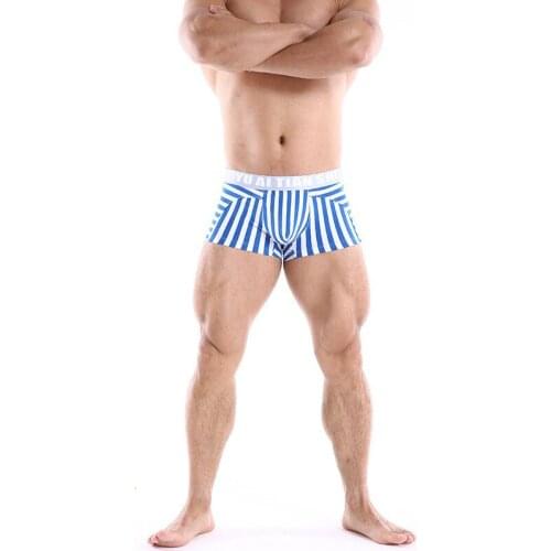 Male Underwear Mens Boxer Briefs Male Striped Underpants Sexy Underwear Men Fashion Breathable Low Waist Underpants Knickers