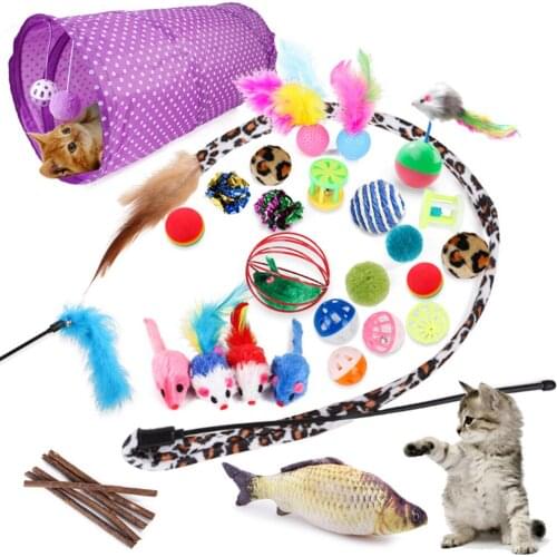 28pcs Funny Cat Pet Interactive Set Cat Kitten Toys Fish Playing Rod Fur Mice Bells Balls Catnip Kit Games Accessories