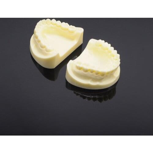 1 Pcs Dental Teaching Model Dental Clinic White Corundum Tooth Model